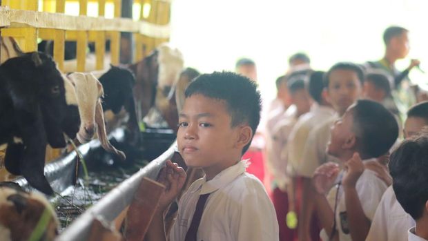 Puluhan siswa SD di Pekanbaru belajar tentang alam di Tabung Harmoni Hijau Polda Riau, Selasa (13/1/2026).