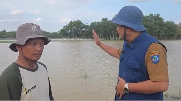 Sawah terendam di wilayah OKI akibat banjir