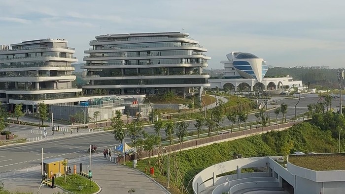 Suasana IKN pada Selasa (13/1/2025)-(Eva/detikcom)