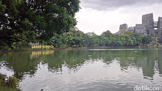 Danau Kenanga UI, Suaka Bagi Burung-burung Bersuara Merdu