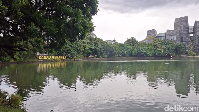 Danau Kenanga UI, Spot Bengong Pagi dan Sore Hari
