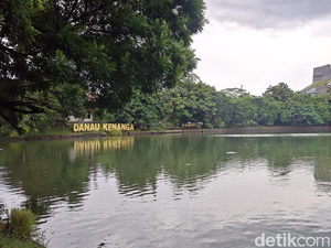Danau Kenanga UI, Suaka Bagi Burung-burung Bersuara Merdu