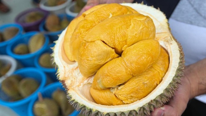 Bikin China Kesemsem, Durian Musang King Disetarakan dengan Tas Hermes