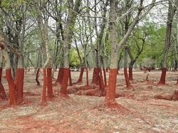 Foto-Foto yang Berbicara Lebih Dalam dari Kata-Kata