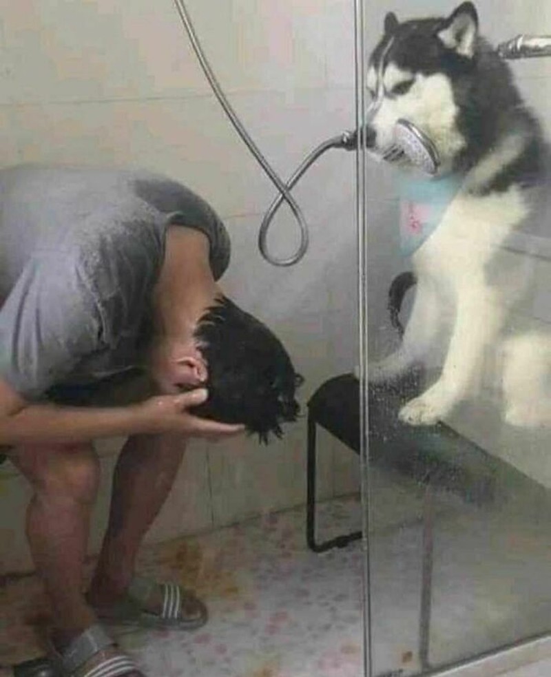 Foto Lucu tapi Aneh