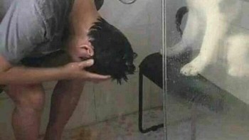 Giliran anjing yang mandikan tuannya. Foto: Boredpanda