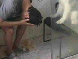 Aneh Tapi Lucu: Deretan Foto Internet yang Sulit Dipercaya Bikin Ngakak