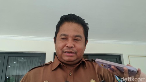 Kepala Dinas Kesehatan NTB Lalu Hamzi Fikri. (Foto: Ahmad Viqi/detikBali).