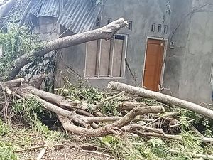 Rumah hingga SD di Manggarai Barat dan Flores Timur Rusak Diterjang Angin