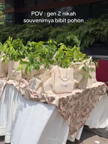 Pasangan Gen Z Rindu & Nada viral usai bagikan bibit pohon sebagai souvenir nikah. Mengusung tema ramah lingkungan, aksi unik ini ajak tamu untuk hijaukan bumi. Acara pernikahan di  di Balai Shinta Mandala Bhakti Wanitatama, Yogyakarta, itu langsung viral di media social.