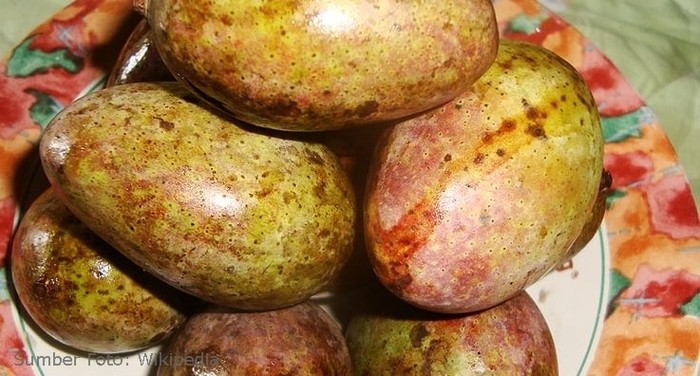 Buah mangga kasturi. (dok Yayasan KEHATI)