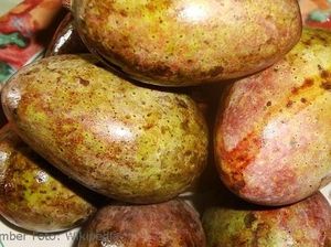 Mangga Kasturi Endemik Kalimantan Belum Benar-benar Punah