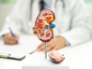 Jangan Sepelekan, Busa di Urine Ungkap Tanda Kebocoran Ginjal