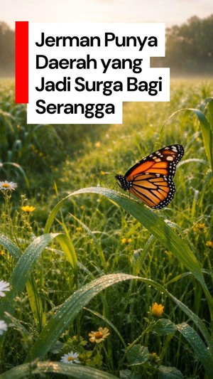 Video: Surga Bagi Serangga di Perbatasan Jerman