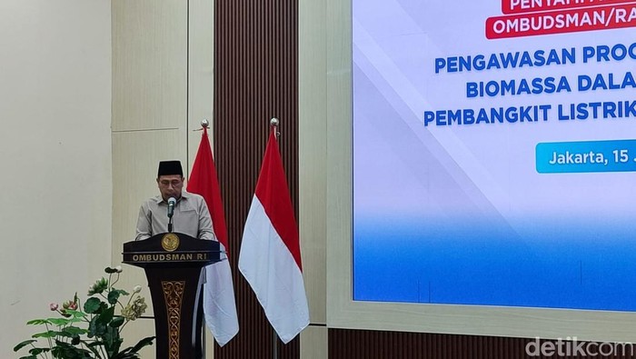 Ombudsman Ungkap Program Biomassa PLTU Belum Optimal