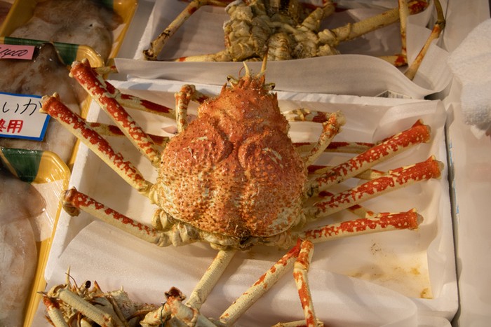 King Crab. Ilustrasi