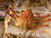 Licik! Modus Penjual King Crab Tambahkan Air agar Timbangan Lebih Berat