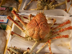 Licik! Modus Penjual King Crab Tambahkan Air agar Timbangan Lebih Berat