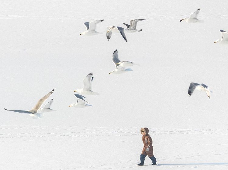 Kyiv Terbalut Salju di Tengah Ancaman Serangan Rusia