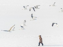 Kyiv Terbalut Salju di Tengah Ancaman Serangan Rusia