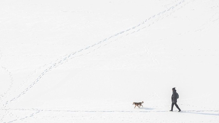 A man walks with a dog in a snow-covered park on a frosty winter day, amid Russia's attack on Ukraine, in Kyiv, Ukraine January 14, 2026. REUTERS/Valentyn Ogirenko     TPX IMAGES OF THE DAY