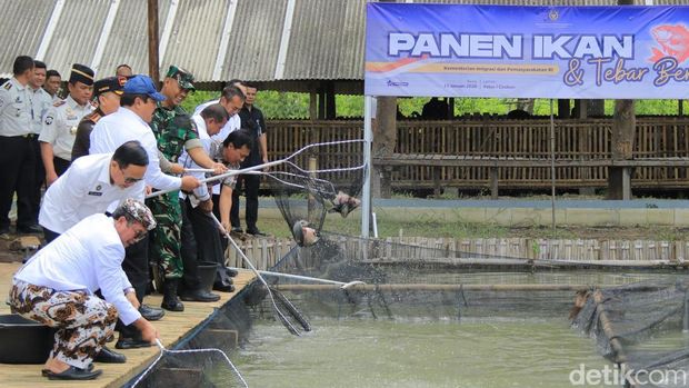 Menteri Imipas Agus Andrianto panen ikan nila hingga lepas bibit lele di Lapas Cirebon