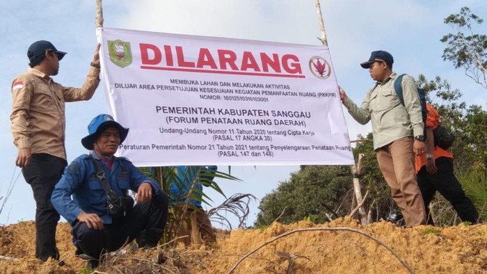 Pemkab Sanggau segel lahan perusahaan yang ditanami sawit.