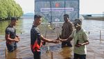 Penanaman Mangrove untuk Jaga Pesisir Ternate dari Abrasi