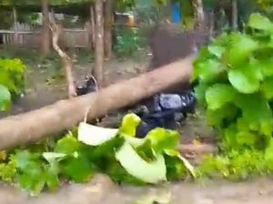 Pohon Tumbang Rusak Rumah-Motor di Labuan Bajo