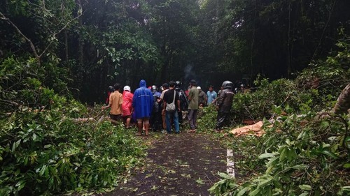 Proses pembersihan pohon tumbang di Jalan Raya Sembalun, Lombok Timur, NTB, Kamis (15/1/2026). (Foto: Dok. Camat Sembalun)