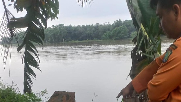 Satgas BPBD Muba memantau kenaikan TMA sungai.