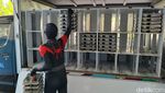 Spiderman Bagikan MBG dan Hibur Anak-anak di Lumajang