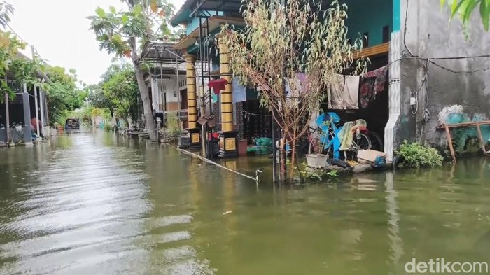 Banjir bengawan jero Lamongan