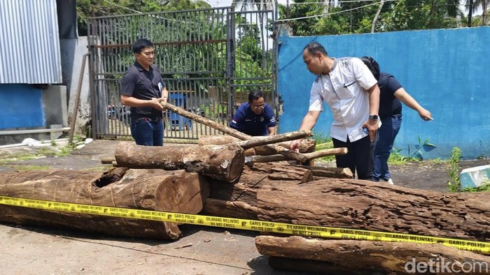 Pembalakan Liar Ancam Gunung Ciremai, Ini Respons Pemprov Jabar