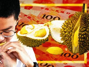 Berkat Durian Musang King, Kota di Malaysia Nikmati Aliran Uang China