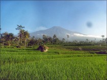 Legenda Ki Semar Memotong Gunung Slamet karena Ulah Monyet Nakal
