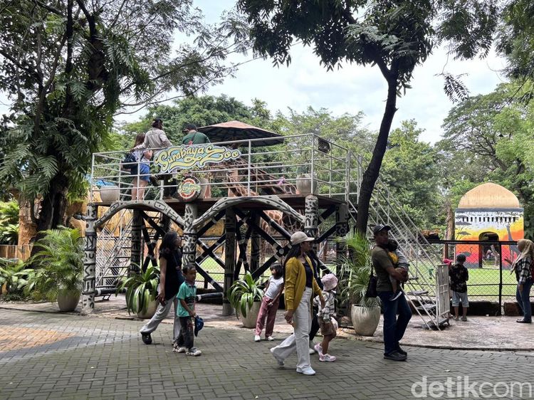 Kebun Binatang Surabaya Ramai saat Libur Panjang