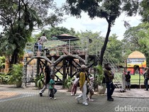 Kebun Binatang Surabaya Ramai saat Libur Panjang