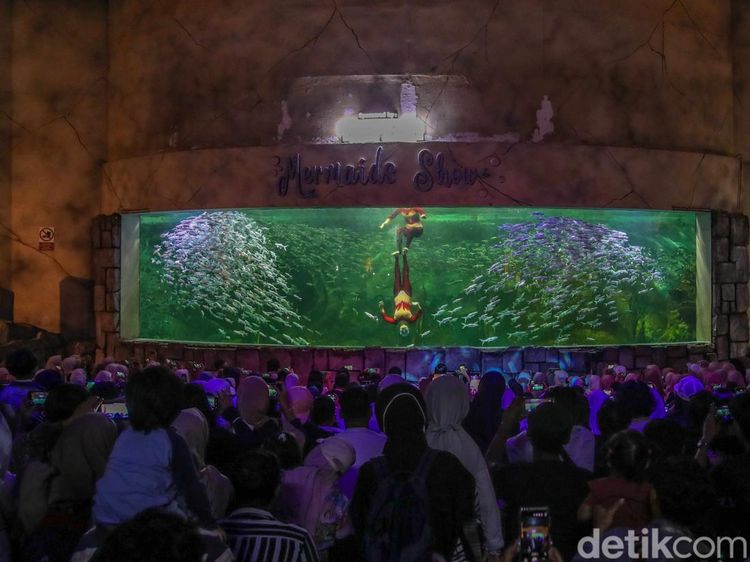 Libur Isra Miraj, Ocean Dream Jadi Wisata Edukasi Favorit