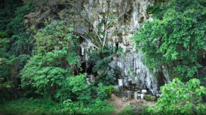 Manusia purba di Sulawesi