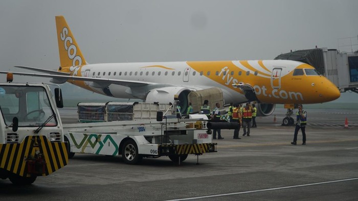 Maskapai Scoot layani penerbangan Palembang-Singapura