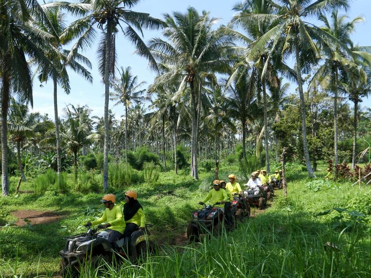 Menjelajah Alam Banyuwangi dengan Wisata ATV