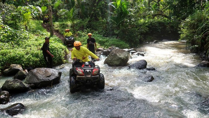Wisatawan menggunakan kendaraan All-Terrain Vehicle (ATV) melintasi jembatan di Kopi Bukit Glagah, Banyuwangi, Jawa Timur, Jumat (16/1/2026). Pemerintah Kabupaten Banyuwangi terus memperkuat sektor pariwisata alam dengan menghadirkan berbagai atraksi, salah satunya wisata petualangan ATV sebagai upaya menarik kunjungan wisatawan untuk menikmati pesona alam dan budaya lokal. ANTARA FOTO/ Budi Candra Setya/tom.