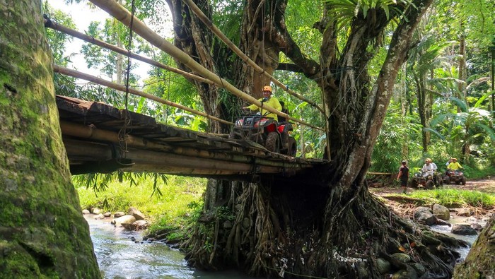 Wisatawan menggunakan kendaraan All-Terrain Vehicle (ATV) melintasi jembatan di Kopi Bukit Glagah, Banyuwangi, Jawa Timur, Jumat (16/1/2026). Pemerintah Kabupaten Banyuwangi terus memperkuat sektor pariwisata alam dengan menghadirkan berbagai atraksi, salah satunya wisata petualangan ATV sebagai upaya menarik kunjungan wisatawan untuk menikmati pesona alam dan budaya lokal. ANTARA FOTO/ Budi Candra Setya/tom.