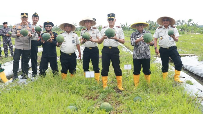Panen Semangka di Lahan Asimilasi Lapas Banyuwangi Tembus 4 Ton