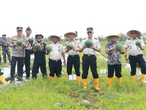 Panen Semangka di Lahan Asimilasi Lapas Banyuwangi Tembus 4 Ton