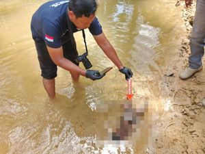 Polres Langkat Tangkap Pelaku Pembuang Bayi di Parit Kebun Sawit