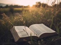 Renungan Harian Katolik Kamis 19 Februari 2026: Salib dan Rahmat Hari Ini