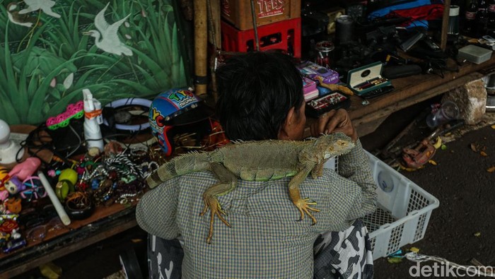 Pengunjung memeriksa barang yang akan dibeli di kawasan Jatinegara, Jakarta, Sabtu (17/1/2026).