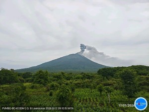 Gunung Ile Lewotolok di NTT Erupsi, 27 Desa Terpapar Abu Vulkanik